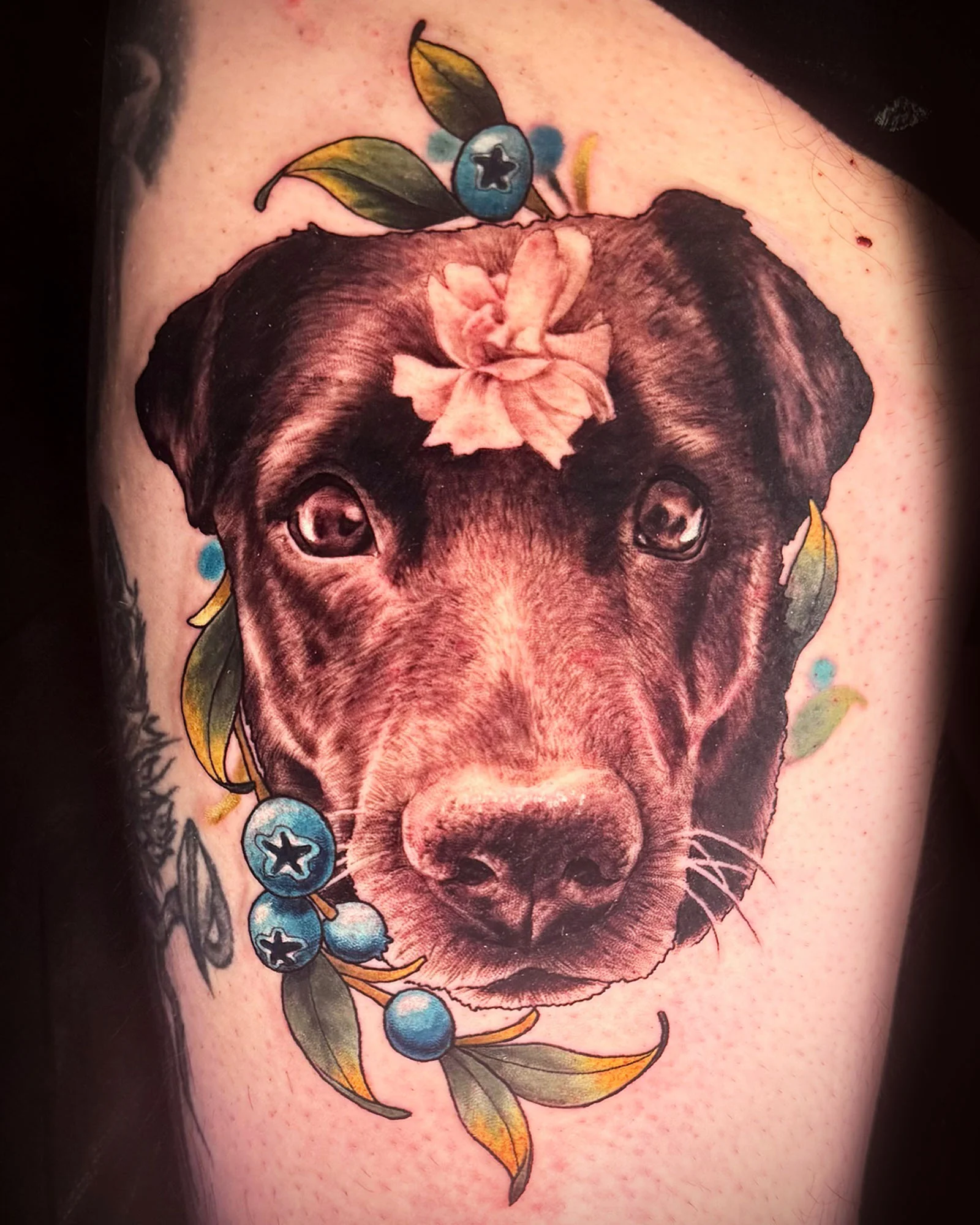 Color tattoo by Jane Chesnut 25